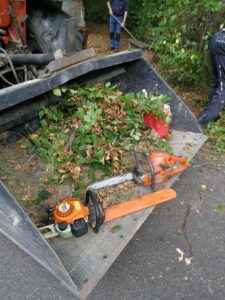 Altes erhalten und Neues gestalten