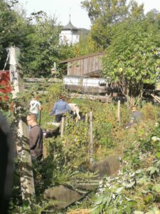 Geländepflege an der Reichenberg-Schule