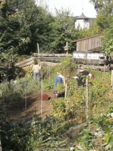 Geländepflege an der Reichenberg-Schule