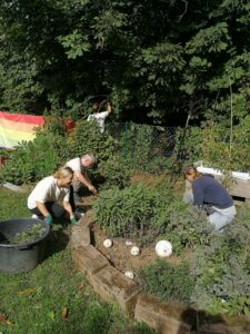 Außengelände des "Apfelbaums" winterfest machen